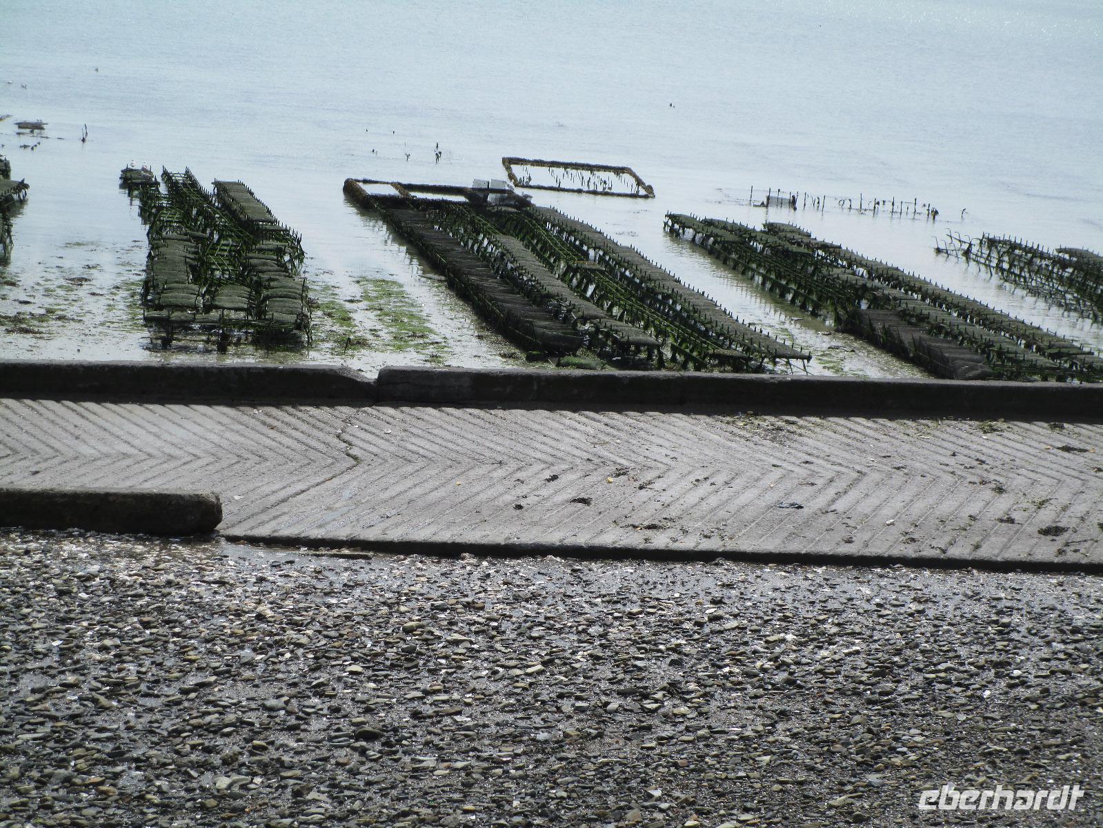 Cancale, Austernbänke