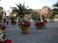 Blumendekoration Orleans