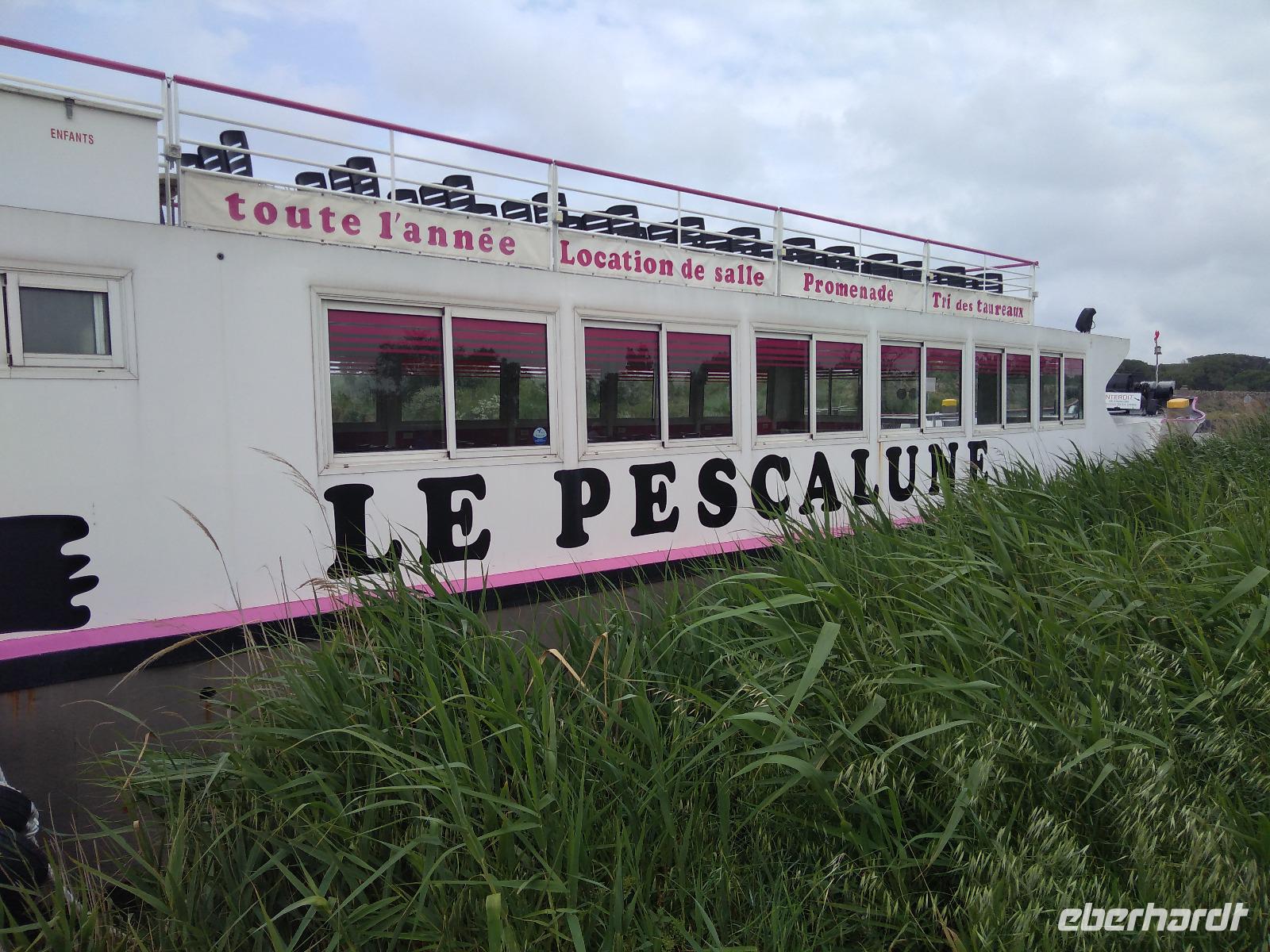 Unser Ausflugsboot in der Camargue 