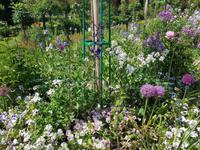 19.5.2018 Giverny Blumengarten 