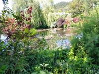 19.5.2018 Giverny Wassergarten 
