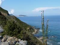 Blick zu den Roten Inseln