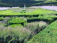 159_Villandry
