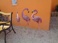 Manade Gilbert Arnaud