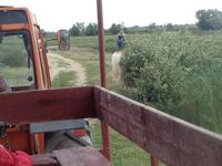 Manade Gilbert Arnaud