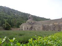Abbaye de Sénanque