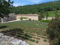 Abbaye de Sénanque