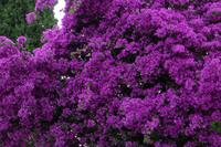 P1200974 Gorges du Verdon u. Moustiers (15)