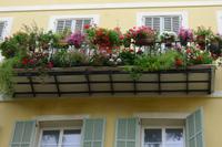 P1210003 Nizza u. Monaco (5)