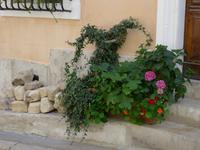 P1210059 Cassis u. Marseille (37)