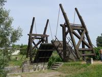 P1210108 Camargue (43)