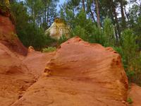 P1210153 Roussillon, Gordes u. Abtei Senanque (6)