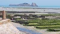 Cancale Austernpark