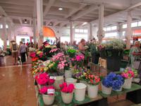 Markt Forville in Cannes