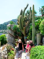 Monaco- kakteengarten 