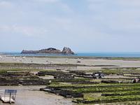 Cancale, Austernpark