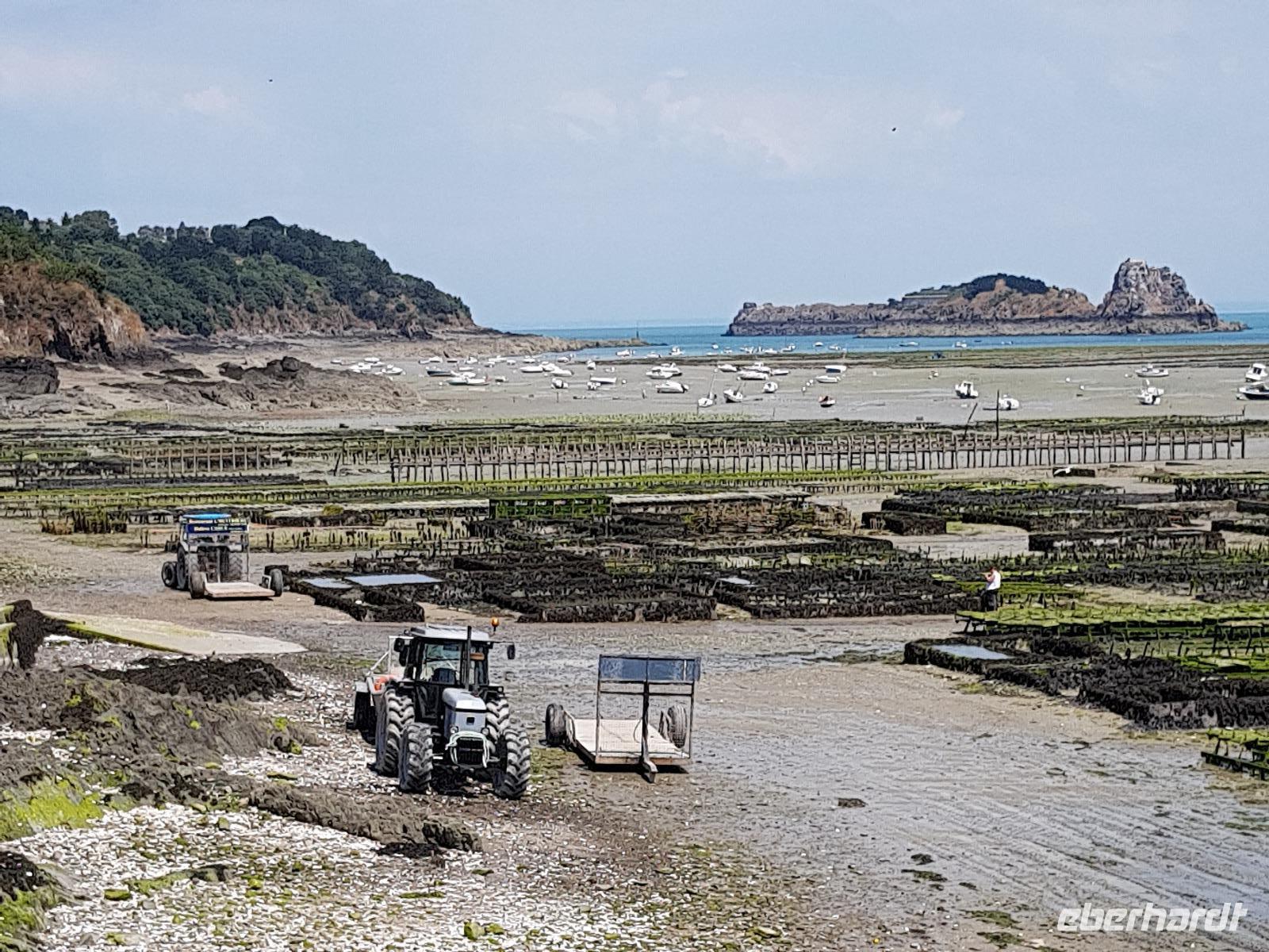 Cancale, Austernpark