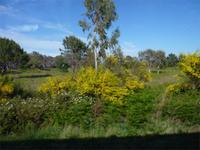 Fahrt durch die Balagne