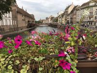 Blick auf die Ill in Straßburg