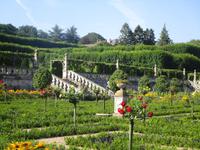 Villanrdry, Gemüsegarten