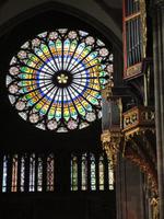Strasbourg, Münster, Rosette West und Schwalbennestorgel