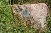 04 Im Wald von Brocéliande 