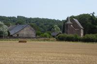 04 Im Wald von Brocéliande 