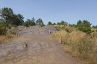 04 Im Wald von Brocéliande 