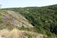 04 Im Wald von Brocéliande 