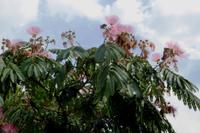 05 Wanderung in Carnac 