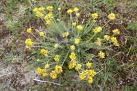 08 Küstenwanderung entlang GR 34 von Tronoen zum Leuchtturm Eckmühl 
