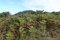 11 Wanderung entlang GR 34 zur Pointe du Raz 