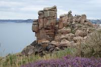 17 Wanderung an der Rosa Granitküste von Trégastel bis Trestraon 