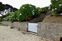 17 Wanderung an der Rosa Granitküste von Trégastel bis Trestraon 