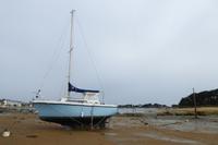 17 Wanderung an der Rosa Granitküste von Trégastel bis Trestraon 