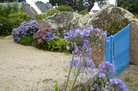 17 Wanderung an der Rosa Granitküste von Trégastel bis Trestraon 