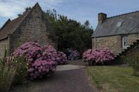 17 Wanderung an der Rosa Granitküste von Trégastel bis Trestraon 