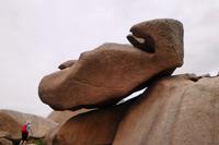 17 Wanderung an der Rosa Granitküste von Trégastel bis Trestraon 