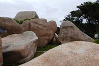 17 Wanderung an der Rosa Granitküste von Trégastel bis Trestraon 