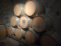 Keller des Schloss Chillon