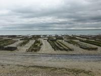 Cancale - Austernbänke