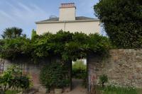 Der Garten von Mr. Miles, Jersey 