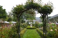 Der Garten von Mr. Miles, Jersey 