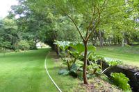 Der Garten von Mr. Miles, Jersey 