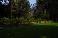 Der Garten von Mr. Miles, Jersey 