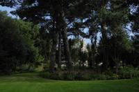 Der Garten von Mr. Miles, Jersey 