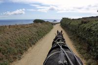 Insel Sark, Kutschfahrt zu La Coupée 