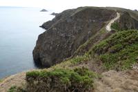 Insel Sark, Kutschfahrt zu La Coupée 