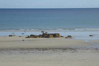 Inselrundfahrt Guernsey 