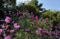 Privatgarten auf Jersey 